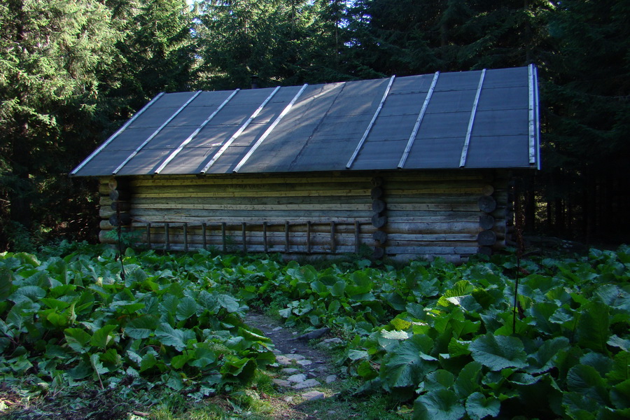 Baranec cez Holý vrch (Západné Tatry)