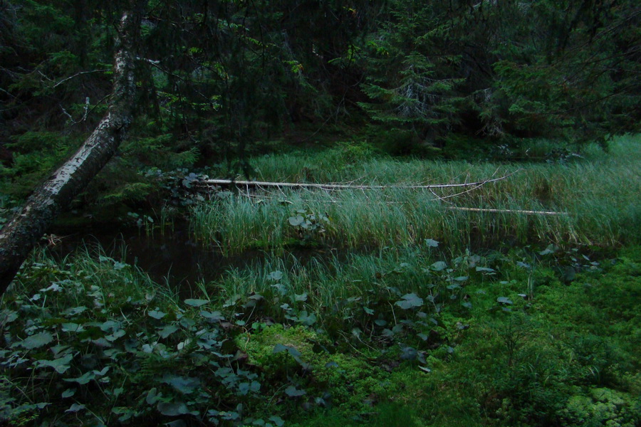 Baranec cez Holý vrch (Západné Tatry)