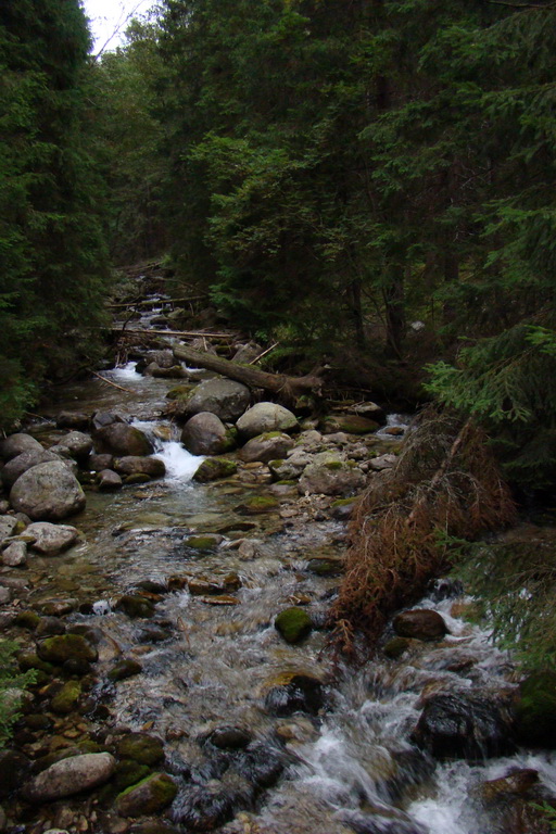 Baranec cez Holý vrch (Západné Tatry)