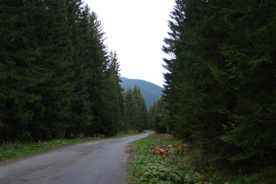 Baranec cez Holý vrch (Západné Tatry)