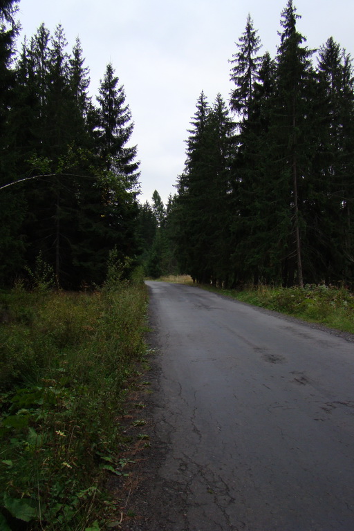 Baranec cez Holý vrch (Západné Tatry)