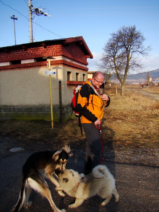 Bukovec zo Švedlára (Volovské vrchy)