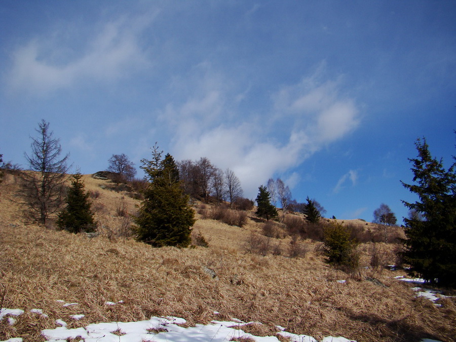 Bukovec zo Švedlára (Volovské vrchy)