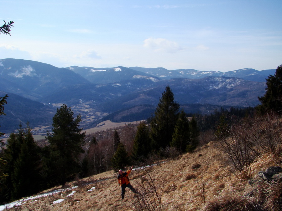 Bukovec zo Švedlára (Volovské vrchy)