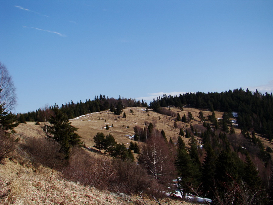 Bukovec zo Švedlára (Volovské vrchy)