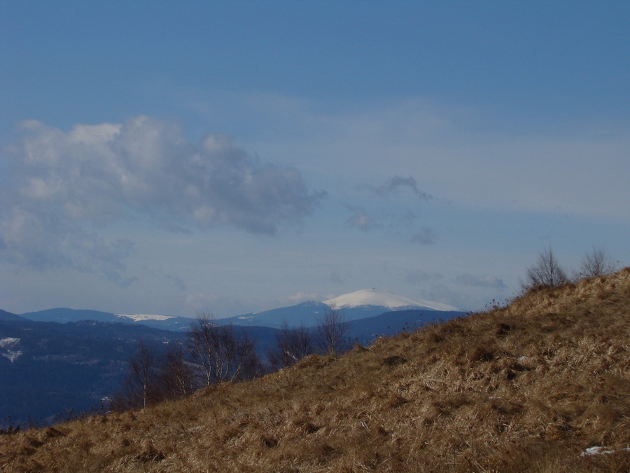 Bukovec zo Švedlára (Volovské vrchy)