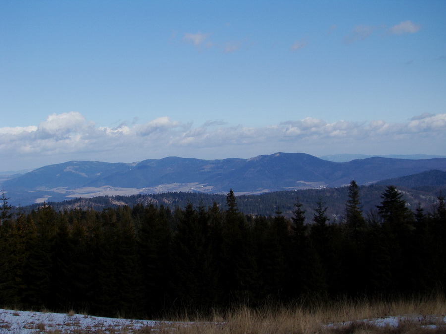 Bukovec zo Švedlára (Volovské vrchy)