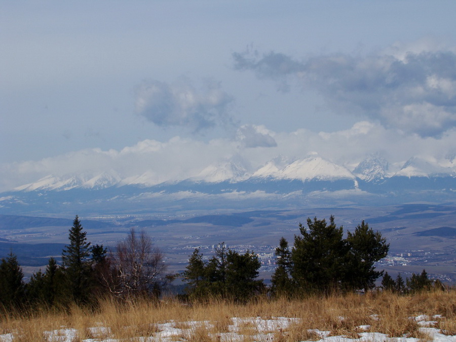 Bukovec zo Švedlára (Volovské vrchy)