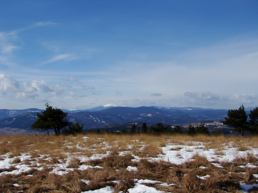 Bukovec zo Švedlára (Volovské vrchy)