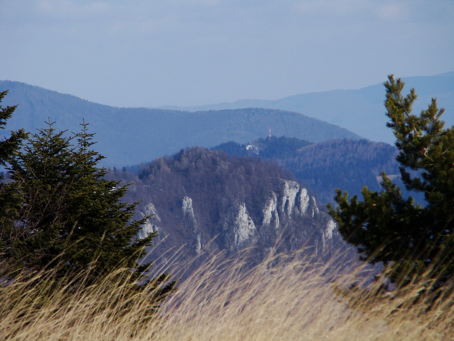 Bukovec zo Švedlára (Volovské vrchy)