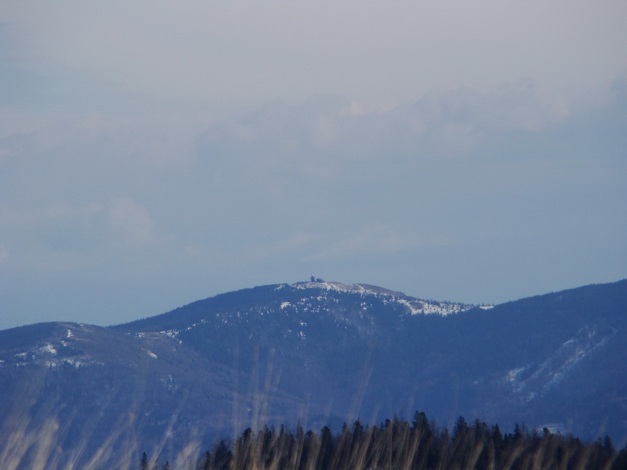 Bukovec zo Švedlára (Volovské vrchy)