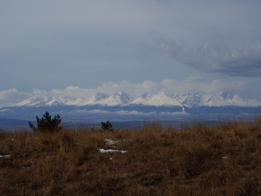 Bukovec zo Švedlára (Volovské vrchy)