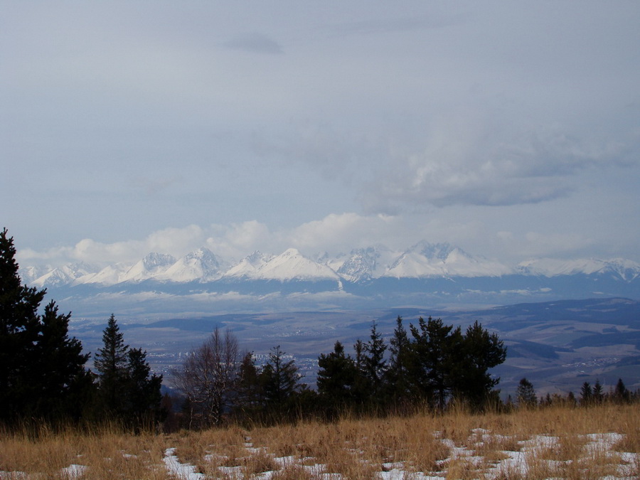 Bukovec zo Švedlára (Volovské vrchy)