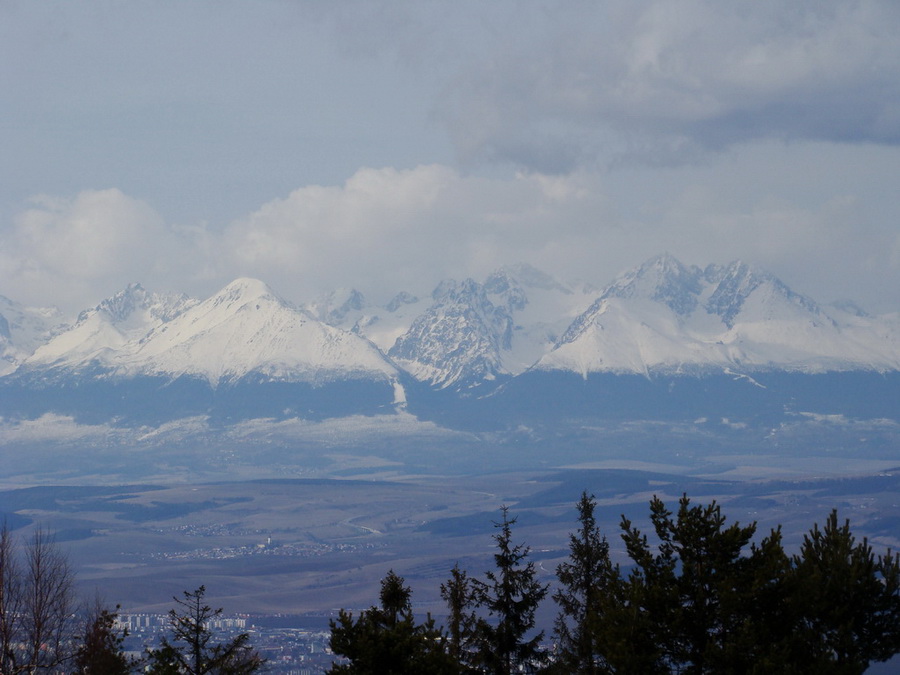 Bukovec zo Švedlára (Volovské vrchy)