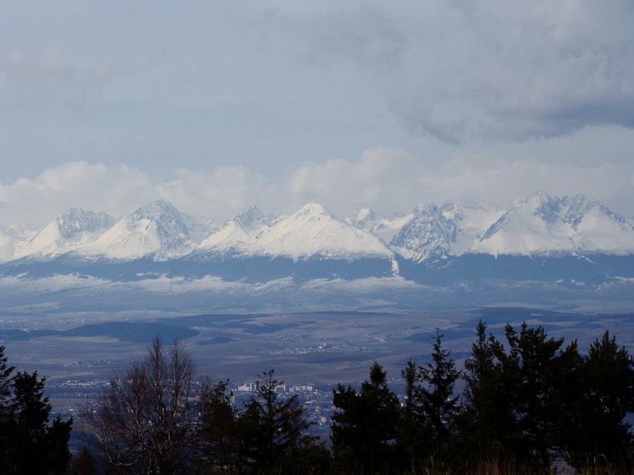 Bukovec zo Švedlára (Volovské vrchy)