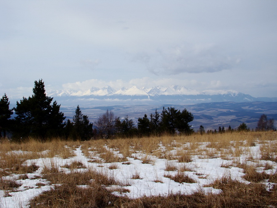 Bukovec zo Švedlára (Volovské vrchy)