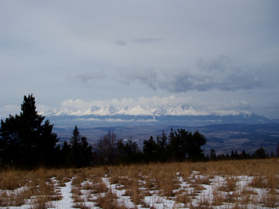 Bukovec zo Švedlára (Volovské vrchy)