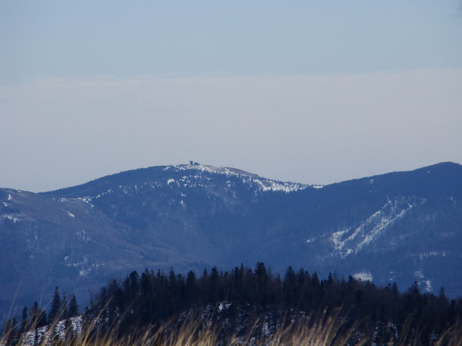 Bukovec zo Švedlára (Volovské vrchy)