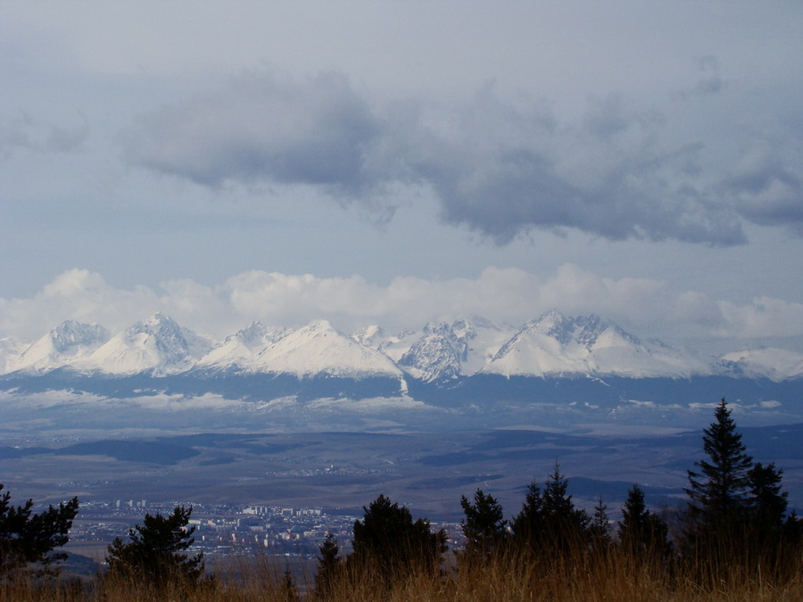 Bukovec zo Švedlára (Volovské vrchy)