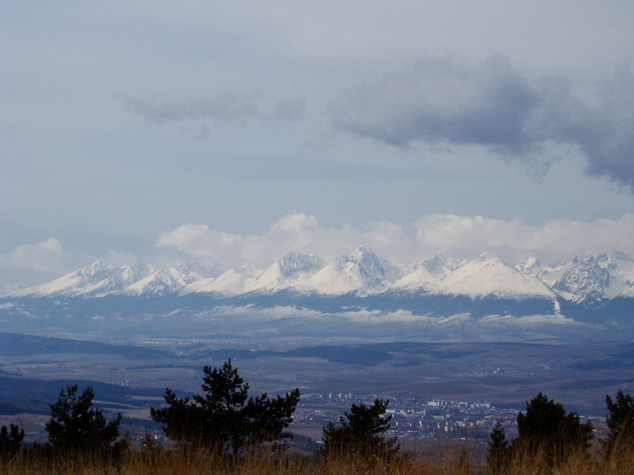 Bukovec zo Švedlára (Volovské vrchy)