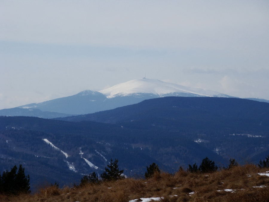 Bukovec zo Švedlára (Volovské vrchy)