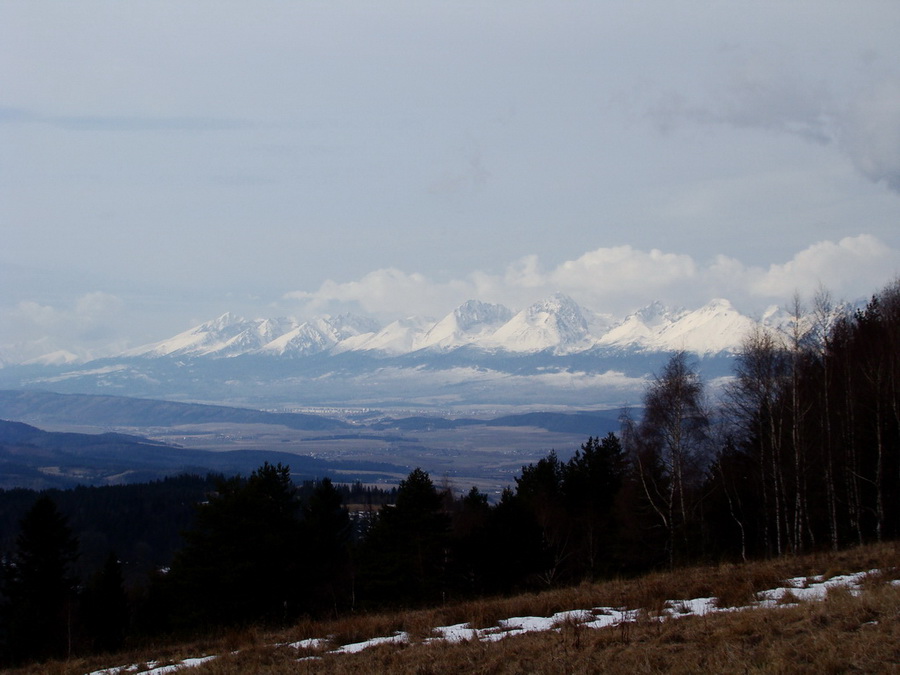 Bukovec zo Švedlára (Volovské vrchy)