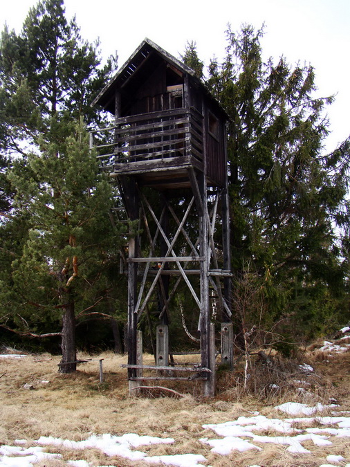 Bukovec zo Švedlára (Volovské vrchy)