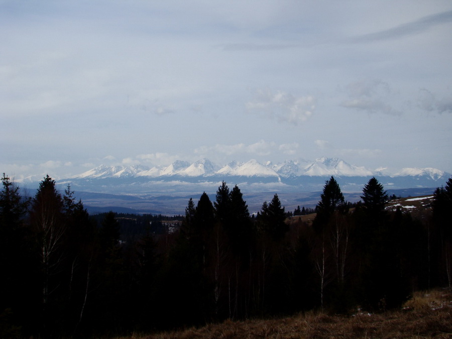 Bukovec zo Švedlára (Volovské vrchy)