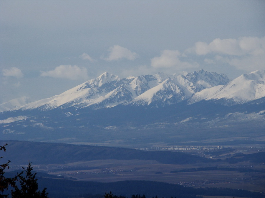 Bukovec zo Švedlára (Volovské vrchy)