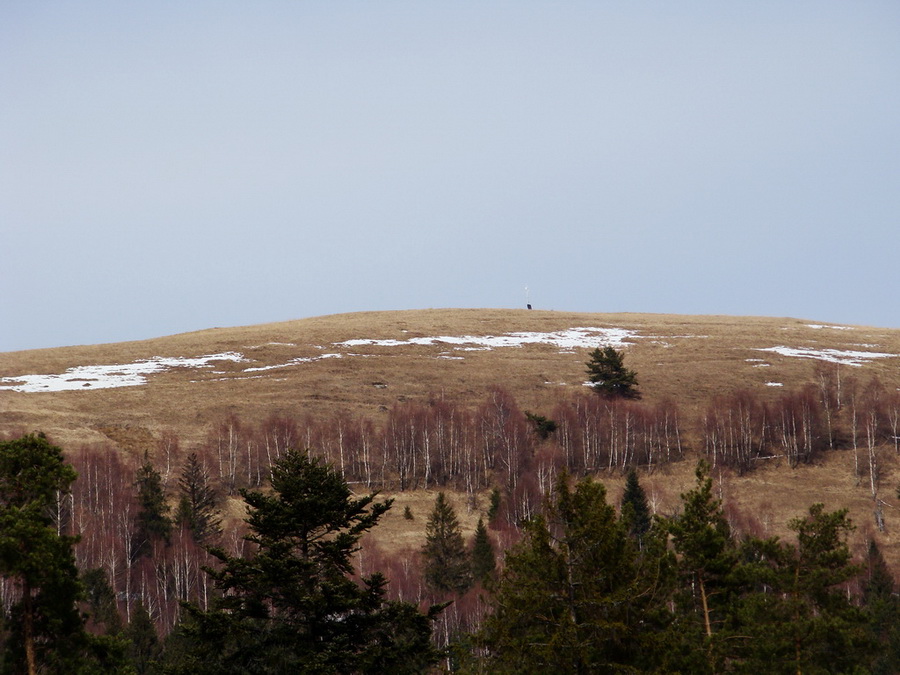 Bukovec zo Švedlára (Volovské vrchy)