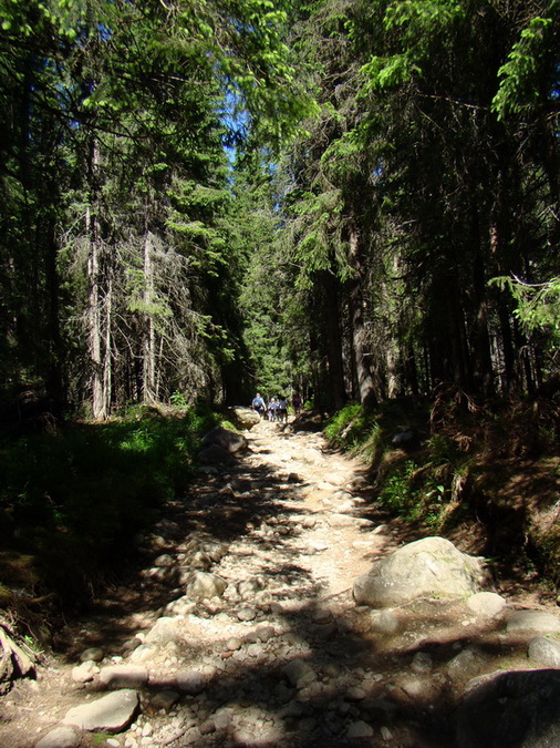 Bystrá lávka, Furkotský štít (Vysoké Tatry)