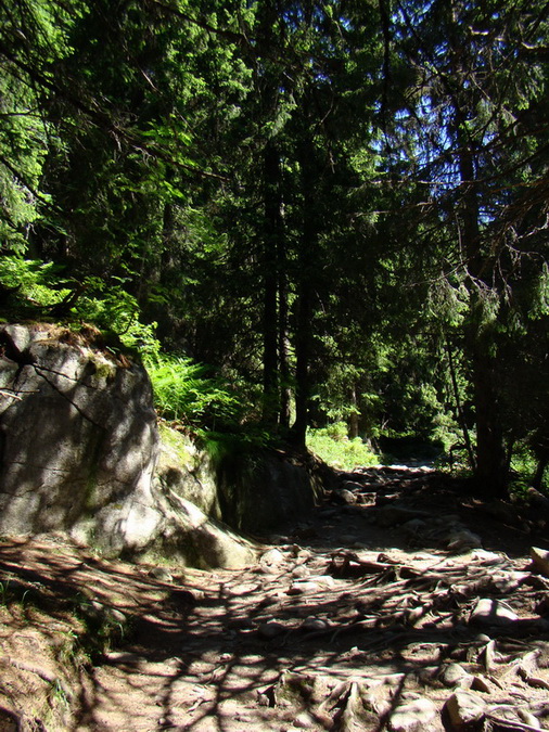 Bystrá lávka, Furkotský štít (Vysoké Tatry)