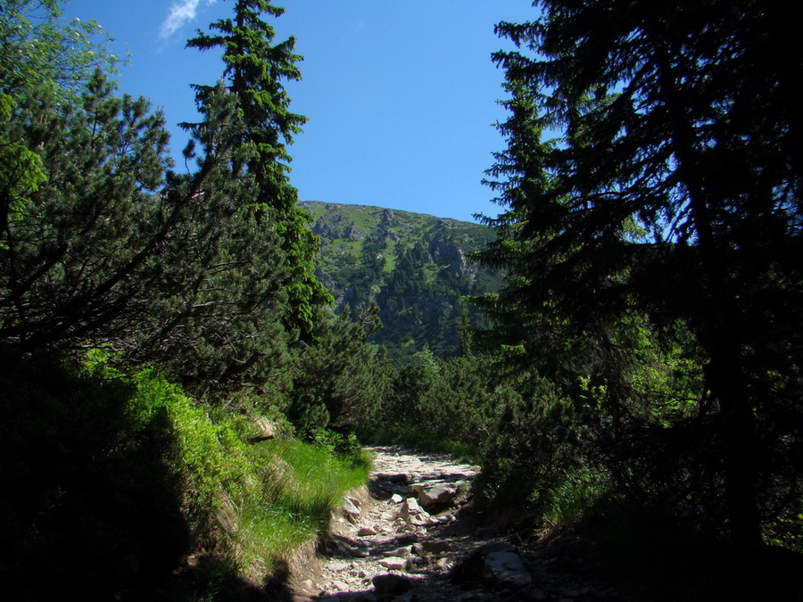 Bystrá lávka, Furkotský štít (Vysoké Tatry)