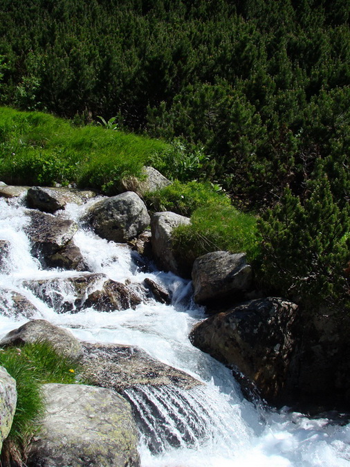 Bystrá lávka, Furkotský štít (Vysoké Tatry)