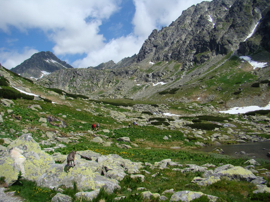 Bystrá lávka, Furkotský štít (Vysoké Tatry)