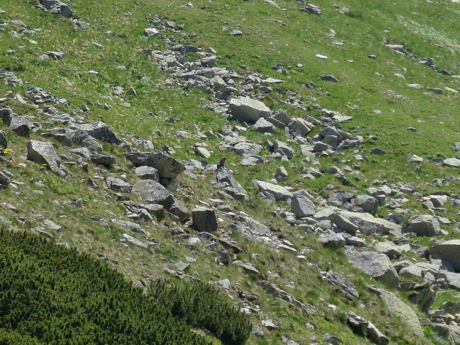 Bystrá lávka, Furkotský štít (Vysoké Tatry)