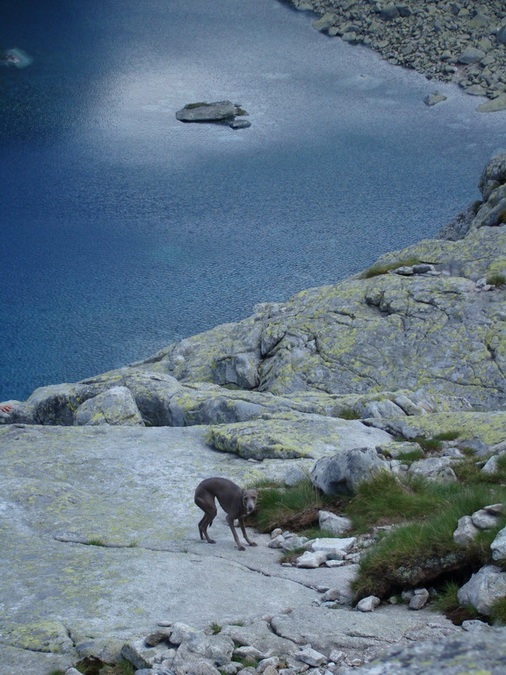 Bystrá lávka, Furkotský štít (Vysoké Tatry)