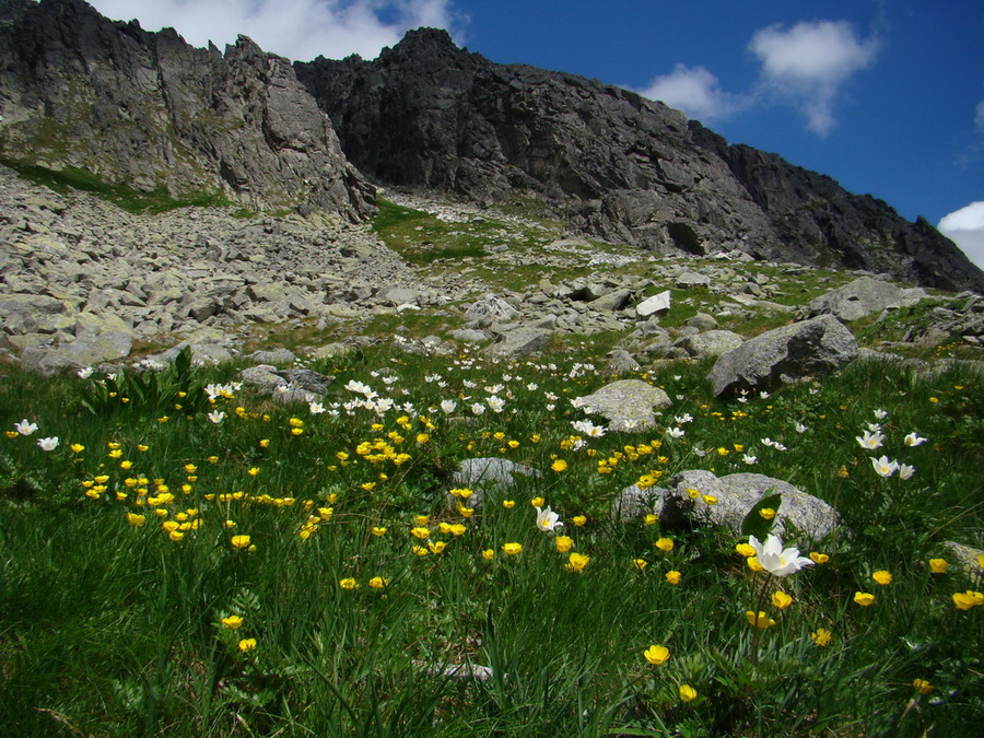 Bystrá lávka, Furkotský štít (Vysoké Tatry)