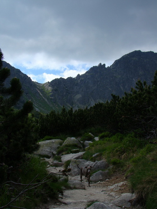 Bystrá lávka, Furkotský štít (Vysoké Tatry)