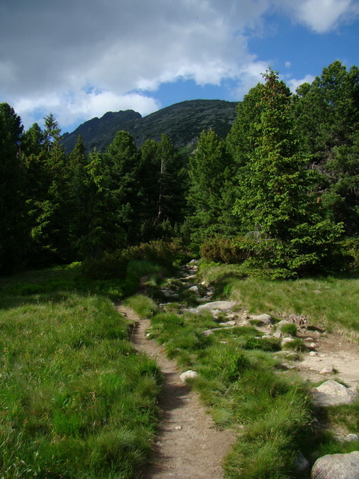 Bystrá lávka, Furkotský štít (Vysoké Tatry)