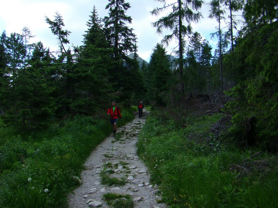 Bystrá lávka, Furkotský štít (Vysoké Tatry)