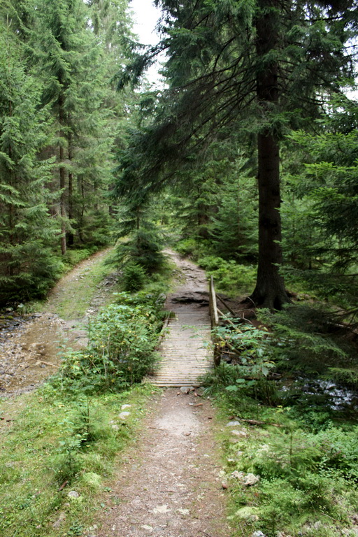 Bystrá z Hrdova (Západné Tatry)