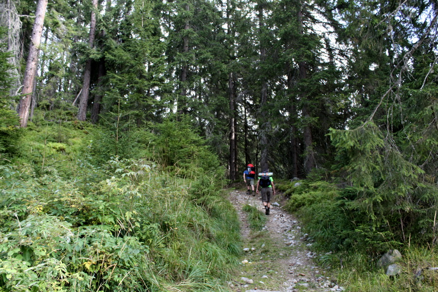 Bystrá z Hrdova (Západné Tatry)