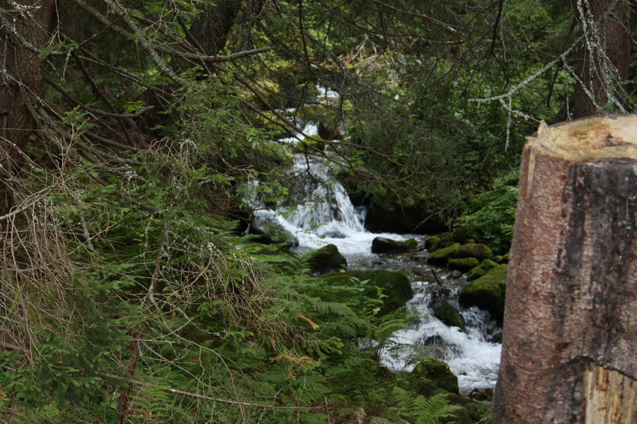 Bystrá z Hrdova (Západné Tatry)