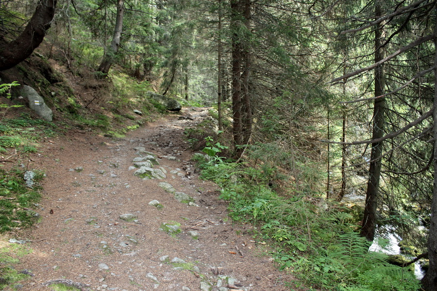 Bystrá z Hrdova (Západné Tatry)