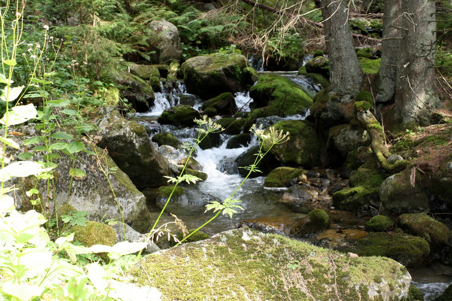 Bystrá z Hrdova (Západné Tatry)