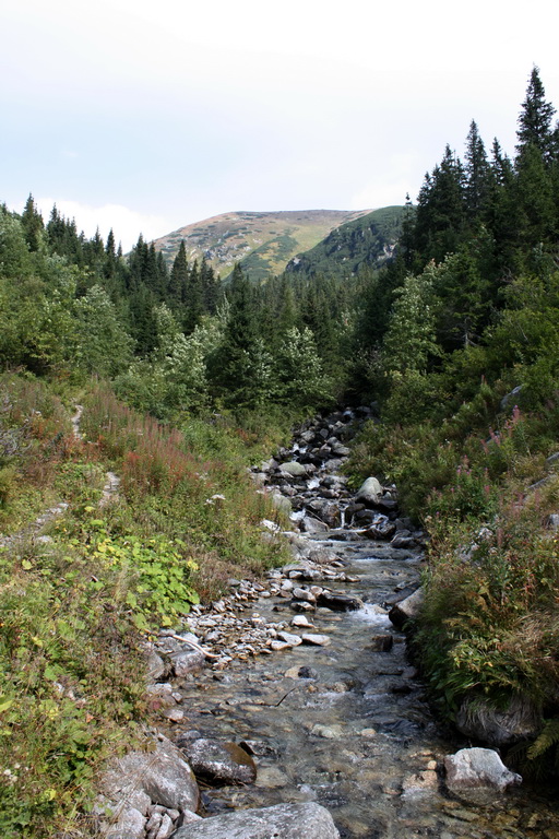 Bystrá z Hrdova (Západné Tatry)