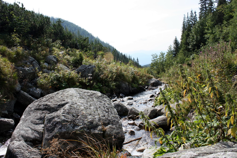 Bystrá z Hrdova (Západné Tatry)