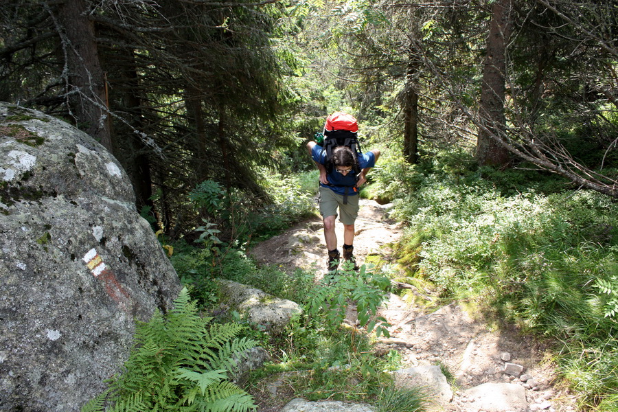 Bystrá z Hrdova (Západné Tatry)