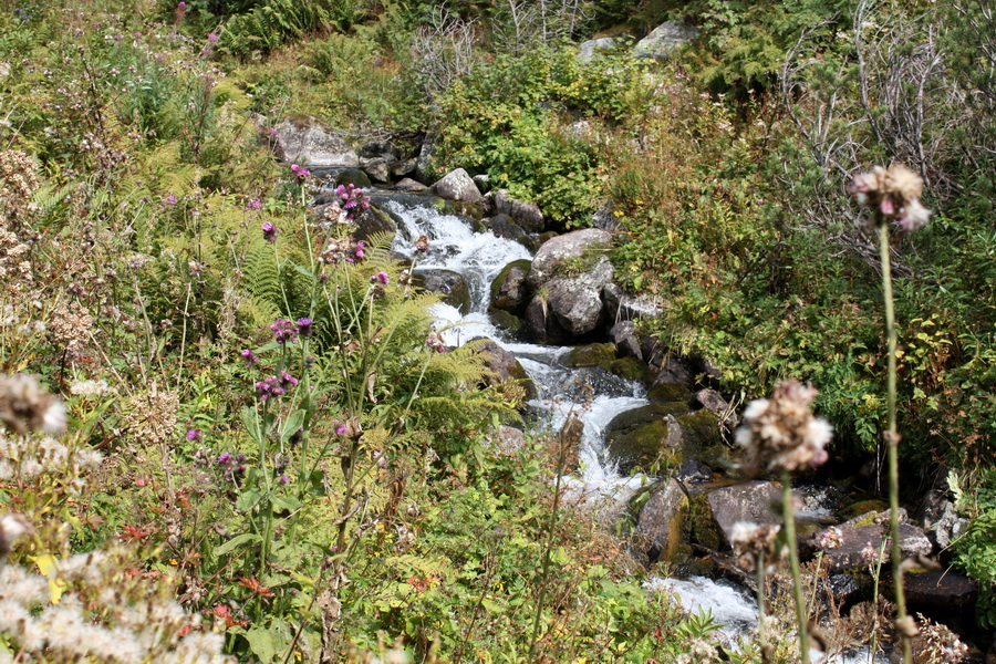 Bystrá z Hrdova (Západné Tatry)